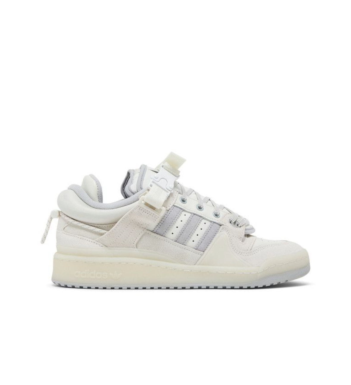 Bad Bunny Forum Last Forum