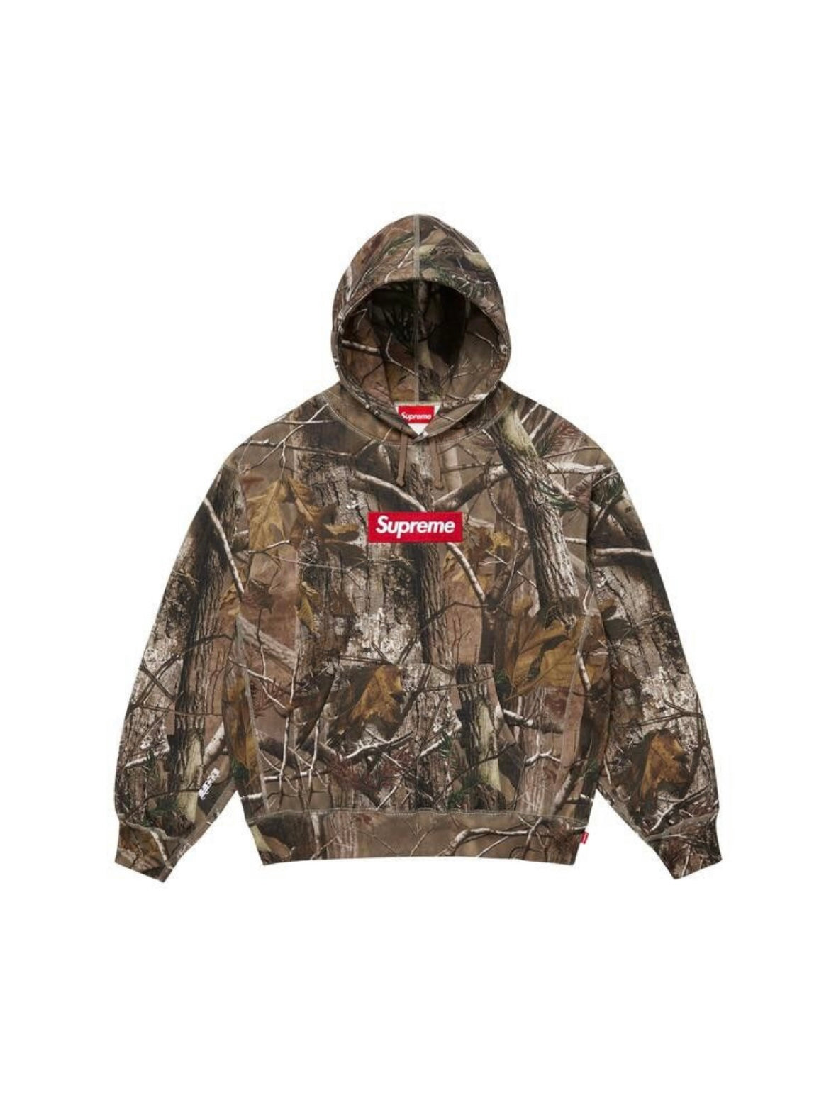 Supreme Box Logo Hooded Sweatshirt Realtree AP Camo